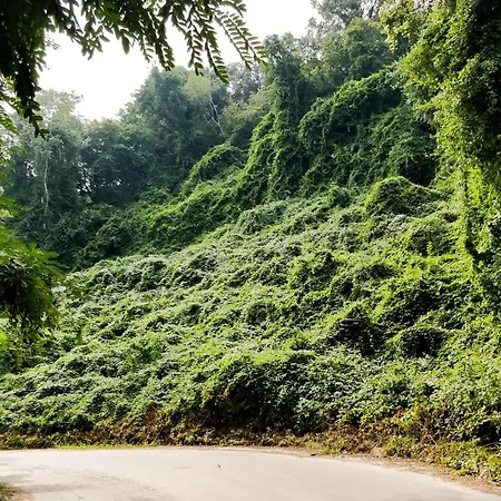 - Cosiness 4 Meters From The Sea * 바르나