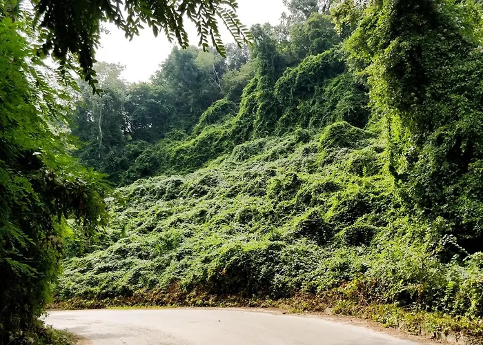 - Cosiness 4 Meters From The Sea * Warna